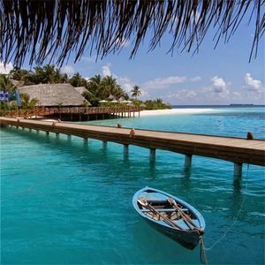 Meet your Posher, Judy